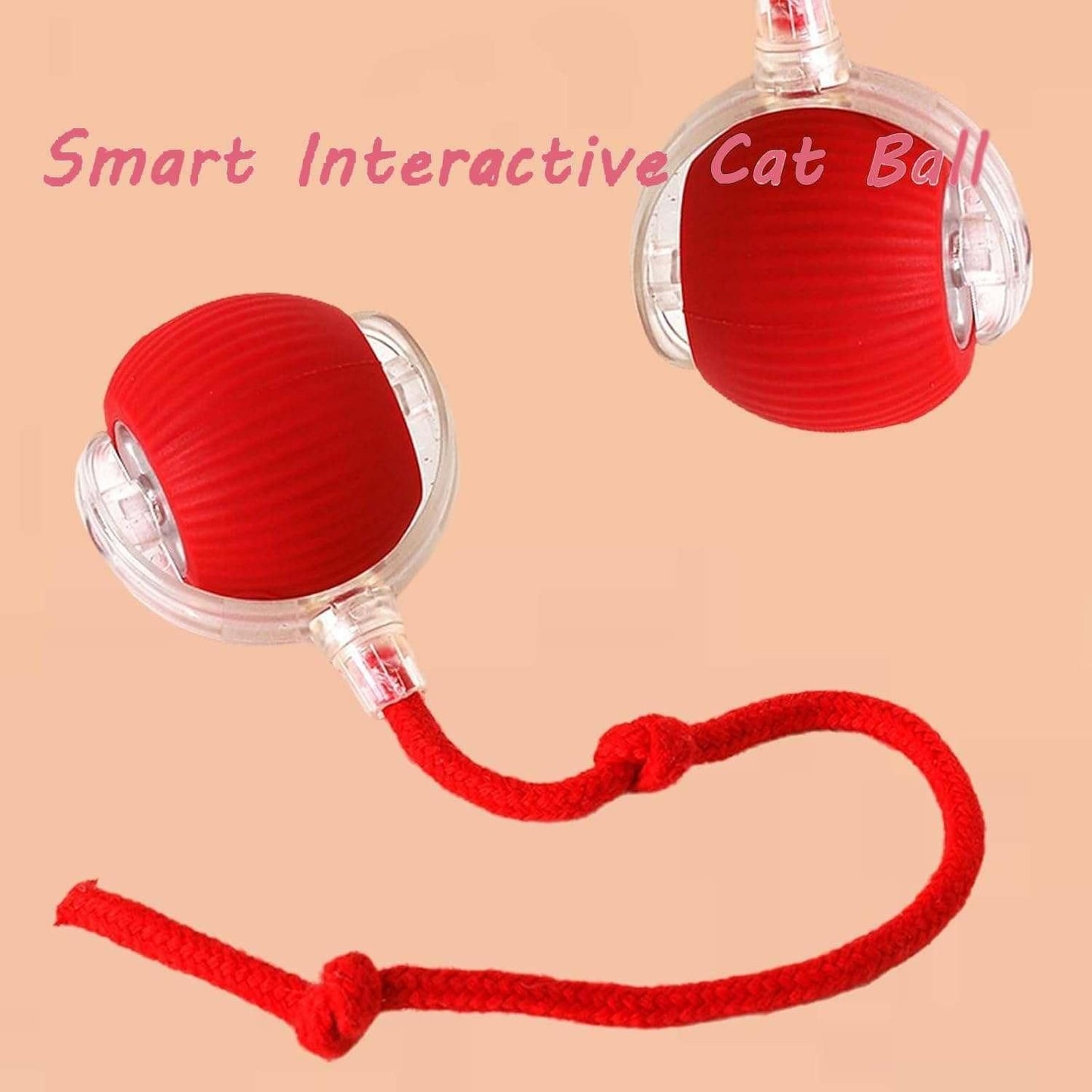 Interactive PawSpin Ball