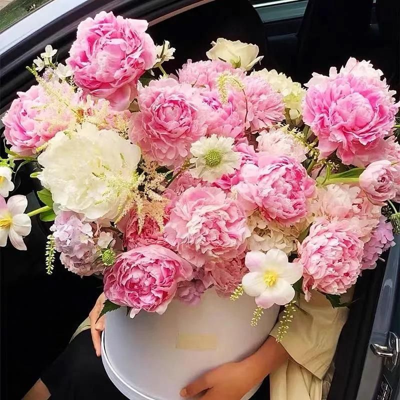 Peony Bloom Pack