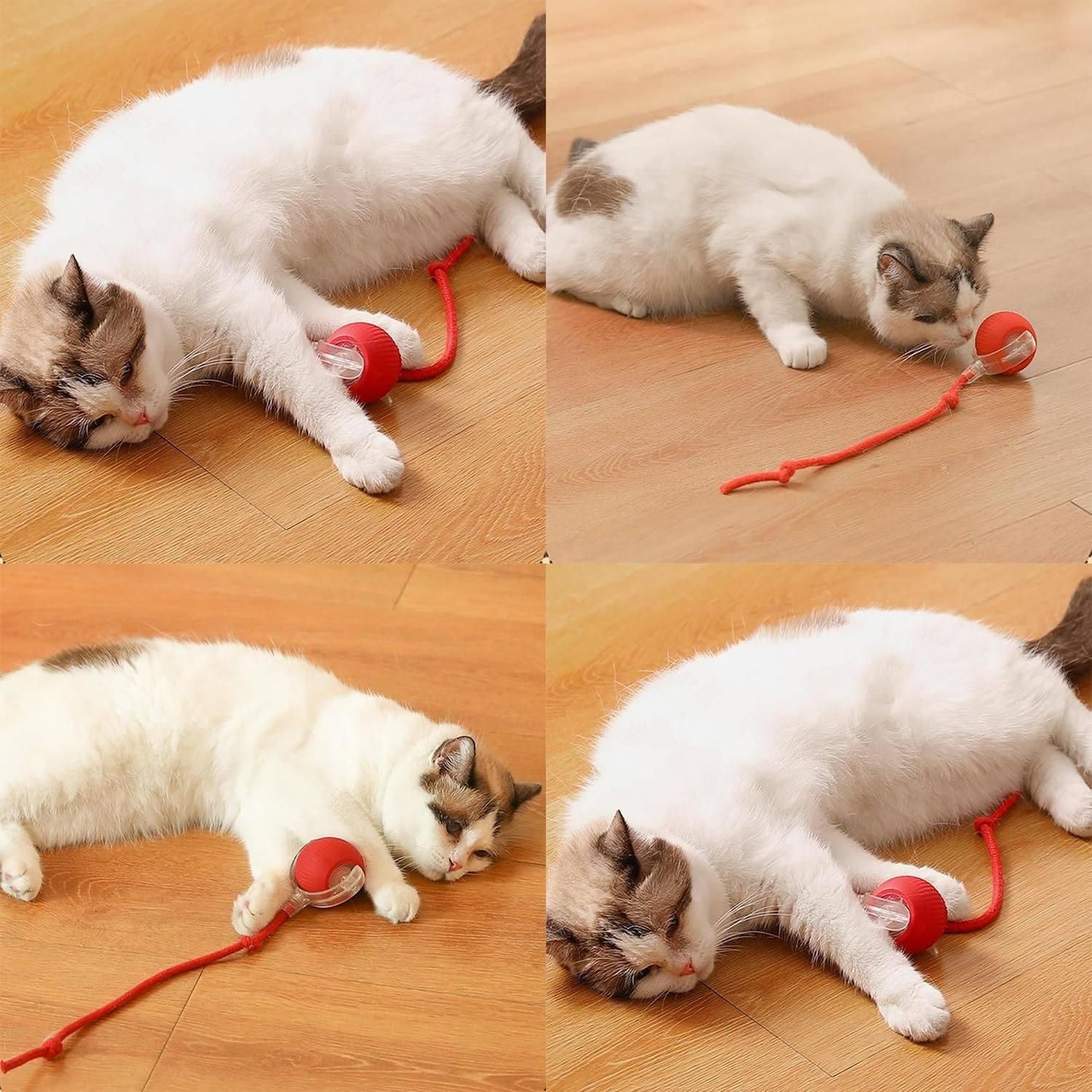 Interactive PawSpin Ball