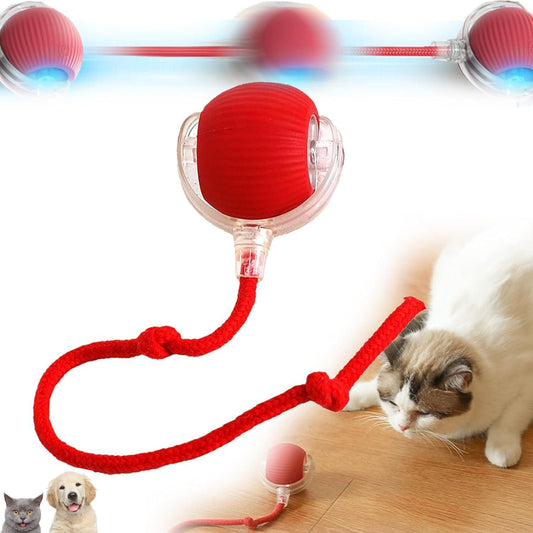 Interactive PawSpin Ball