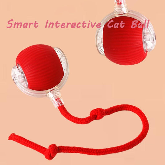 Interactive PawSpin Ball